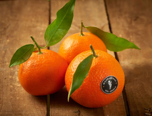 Nuestras Clementinas: cítricos llenos de beneficios!!