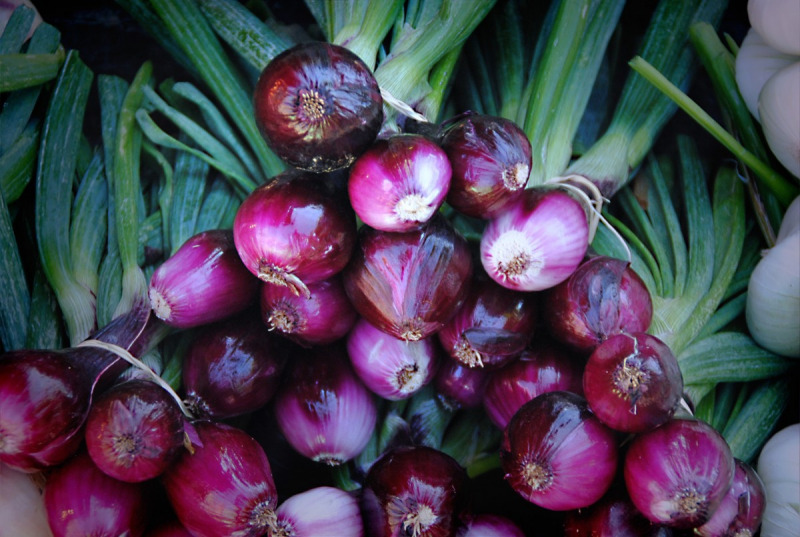 onions_leek_vegetables_root_healthy_spring_onions_food_bless_you-1374624 Cebolleta Roja Premium